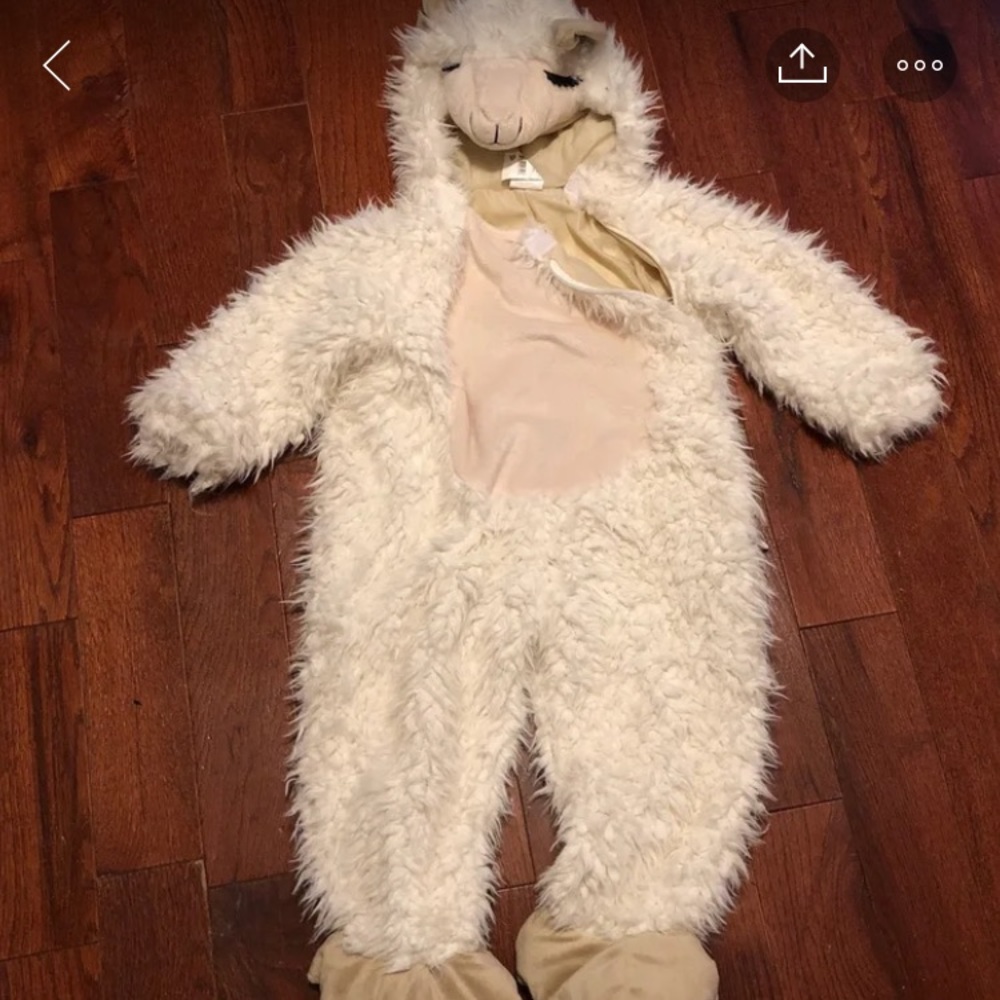 Costume